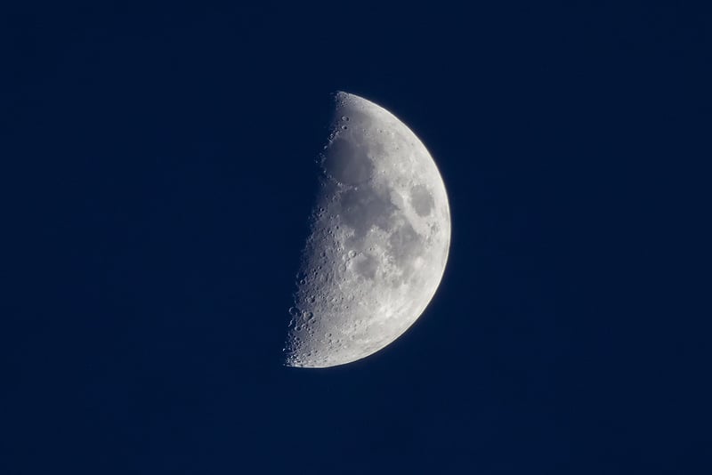 Lunar Gardening Tips